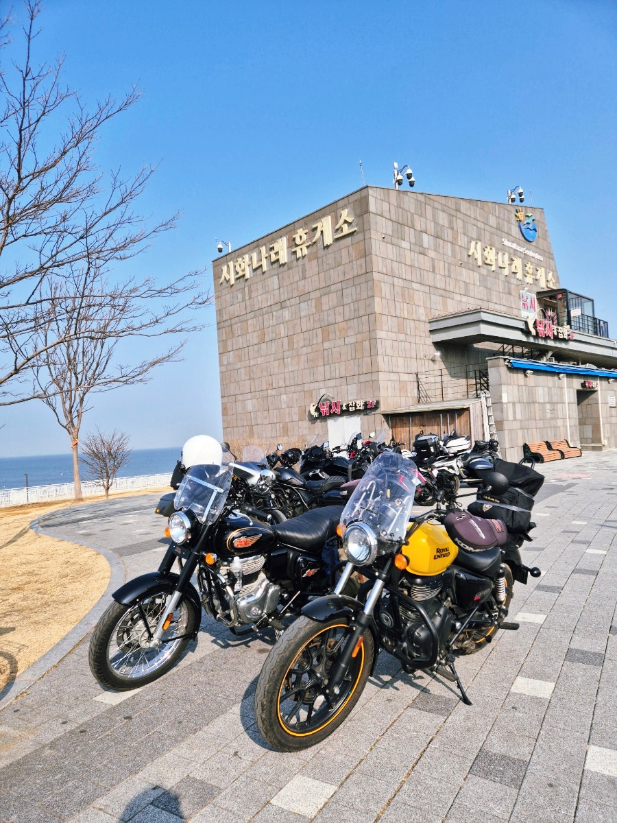 메르시 사진 3