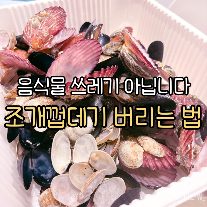 조개껍데기 분리수거, 음식물 쓰레기인 줄 알았는데 알고 보니 100% 일반 쓰레기