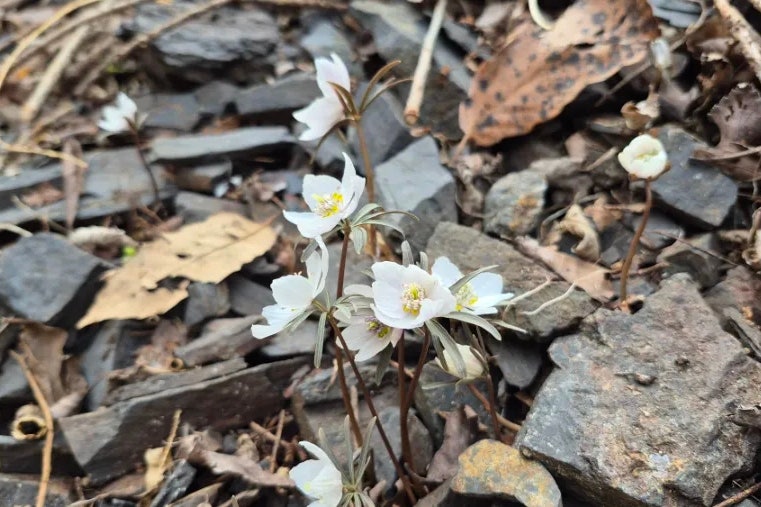 운하산 사진 6