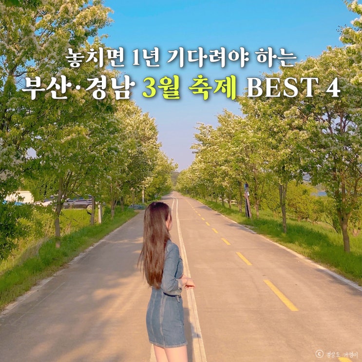  2026년 3월 부산·경남 축제 가볼만한 곳 BEST4