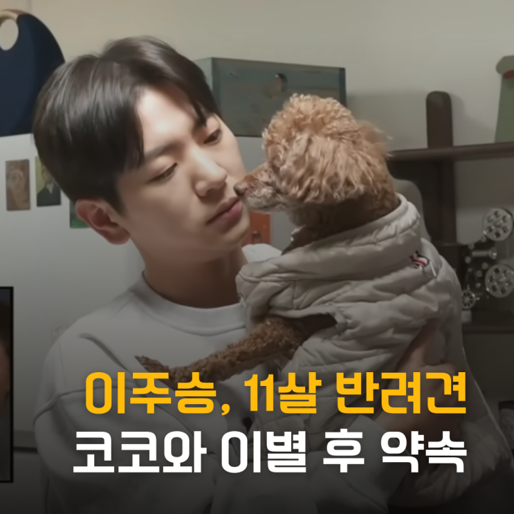  "꽃분이랑 뛰어놀길" 이주승, 11살 반려견 코코와 이별 후 남긴 약속