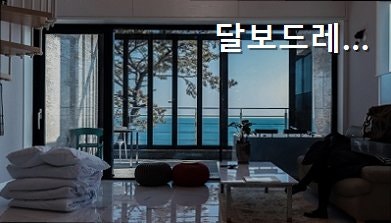 달보드레 사진 4