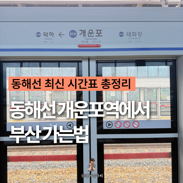 울산 동해선 개운포역에서 부산가는법 시간표 총정리