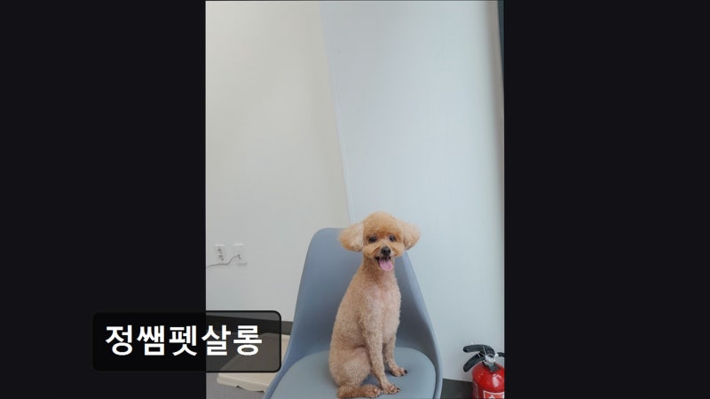 사진 4