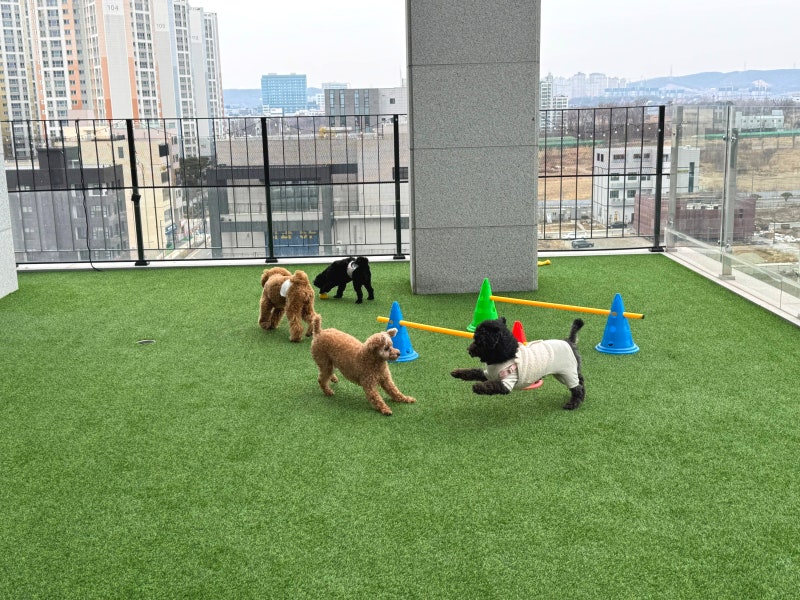 사진 3