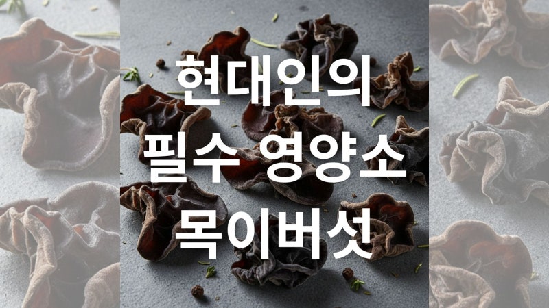 목이버섯 효능과 영양 성분 및 올바른 섭취 방법 안내