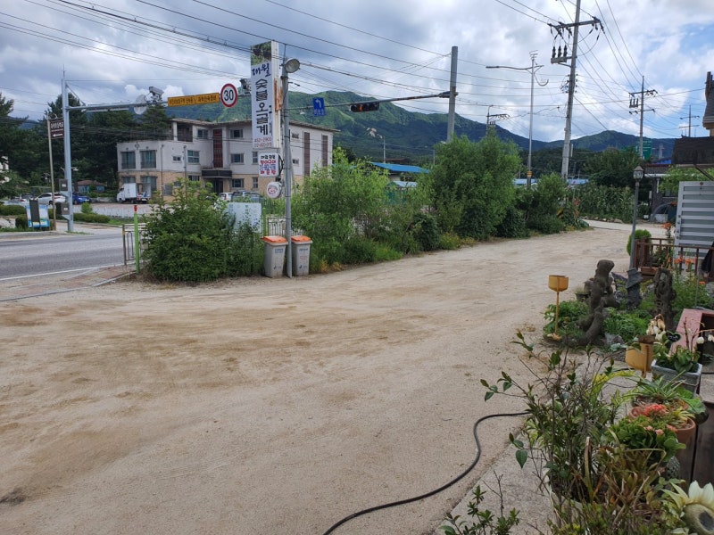식객 허영만 백반기행 강원도 양구 맛집 대월오골계 숯불구이｜위치·메뉴·영업시간.후기
