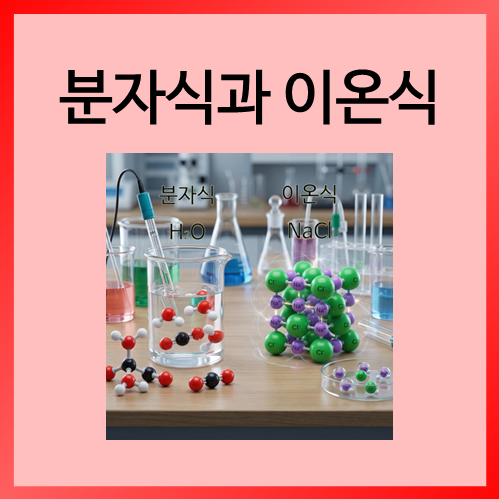  [중등화학]분자식과 이온식
