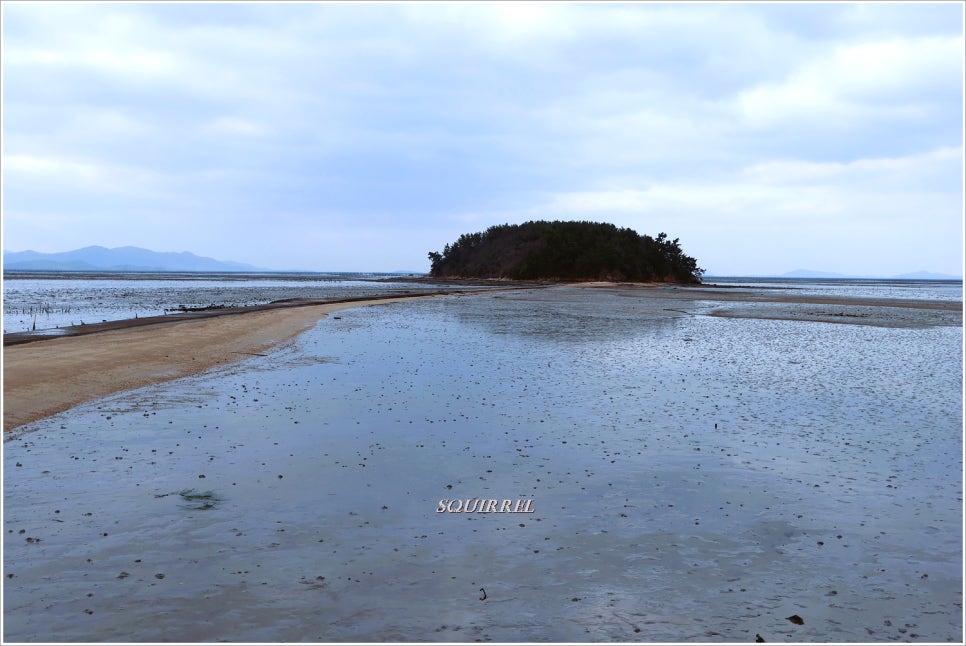 대섬 사진 6