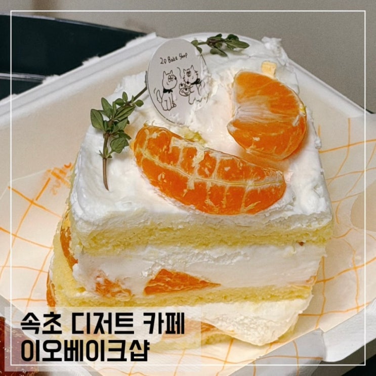  속초 디저트 카페 이오베이크샵 속초 케이크 맛집