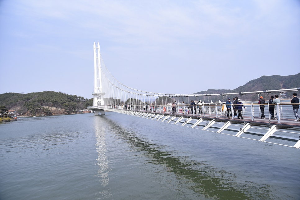 돌고래회관 사진 3