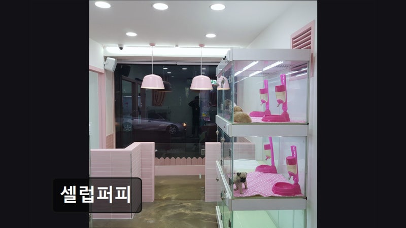 사진 2
