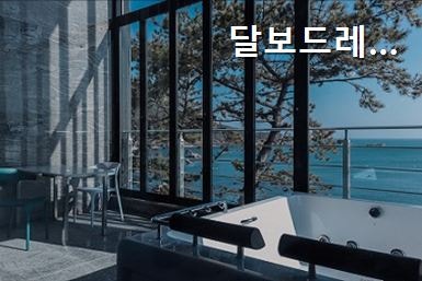 달보드레 사진 2
