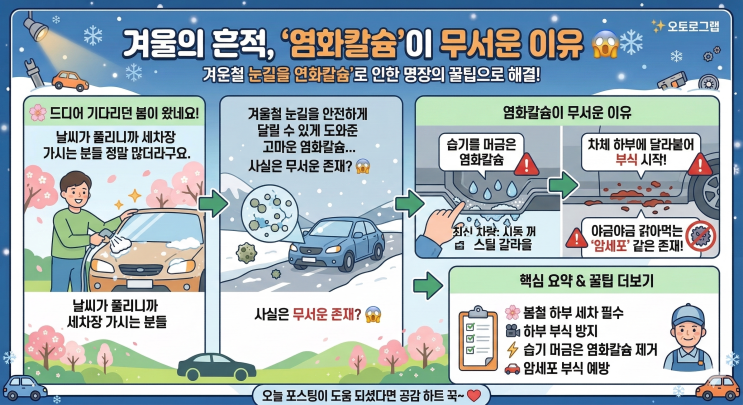  내 차 밑바닥 보셨나요? 봄맞이 하부 세차 안 하면 수리비 폭탄 맞는 이유