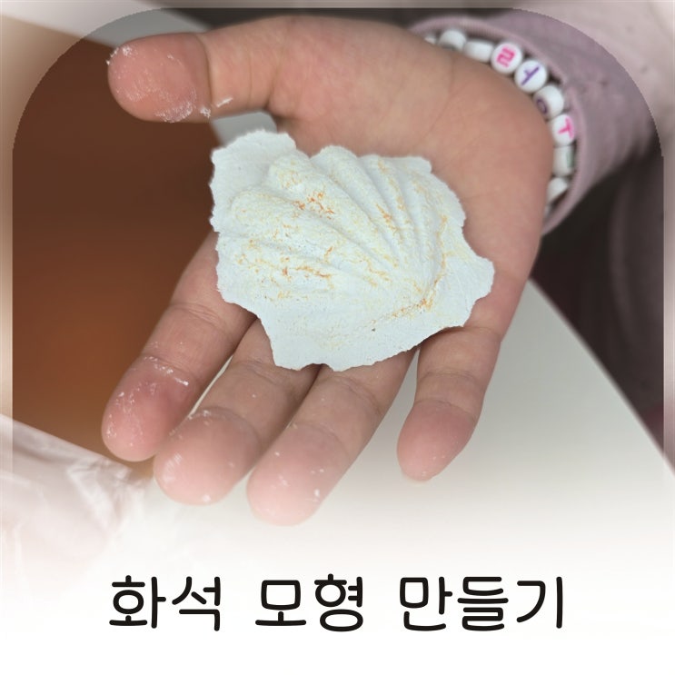  아이와 함께 만든 조개 화석 모형 만들기 과학키트 추천