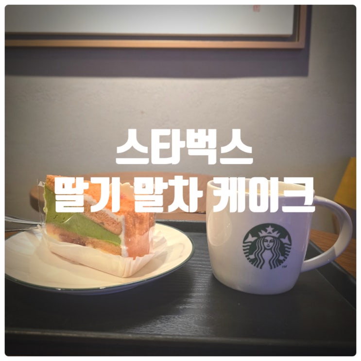  스타벅스 부드러운 딸기 말차 케이크 솔직후기 (스타벅스 신메뉴)