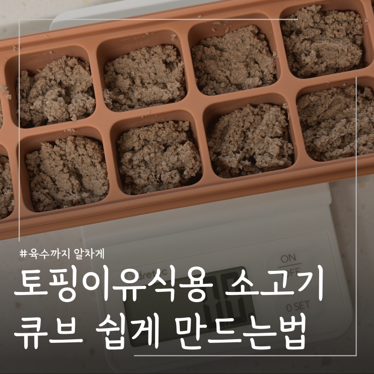  초기이유식 소고기 큐브 만들기 준비물 초간단 방법ㅣ 토핑이유식 죽이유식