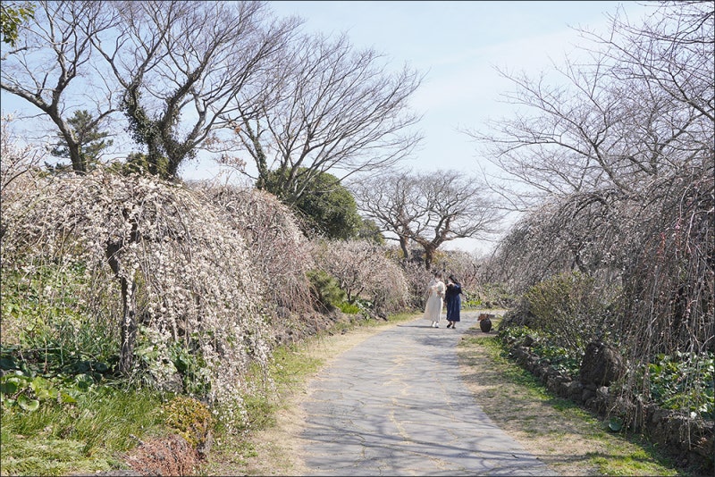 사진 4