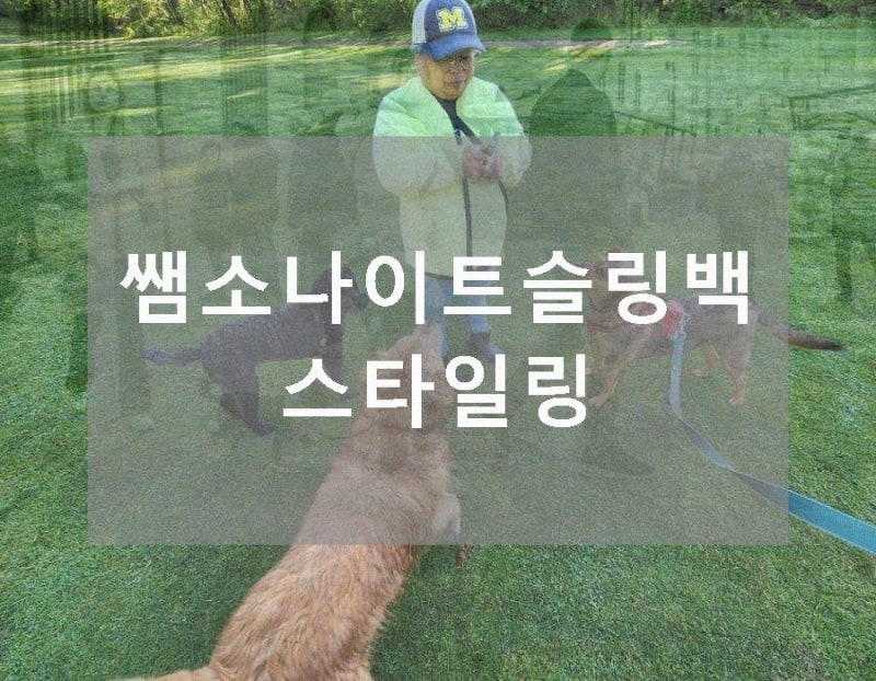 쌤소나이트슬링백 스타일링 해줄 수 있다는 점도 장점 중 하나