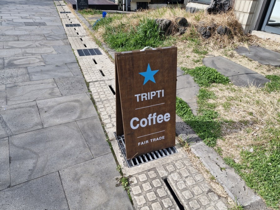 제주트립티 사진 5