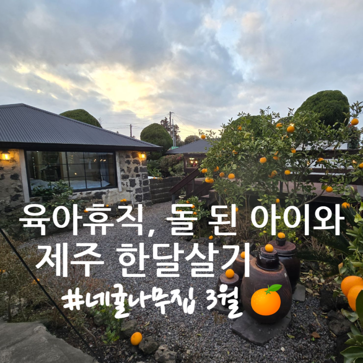  돌 된 아이와 제주한달살기, 3월 육아휴직 중 아기와..