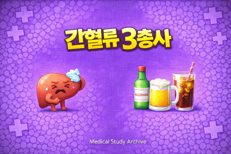 간동맥 간문맥 간정맥 차이 완전정리｜간호조무사 국가시험 핵심 암기