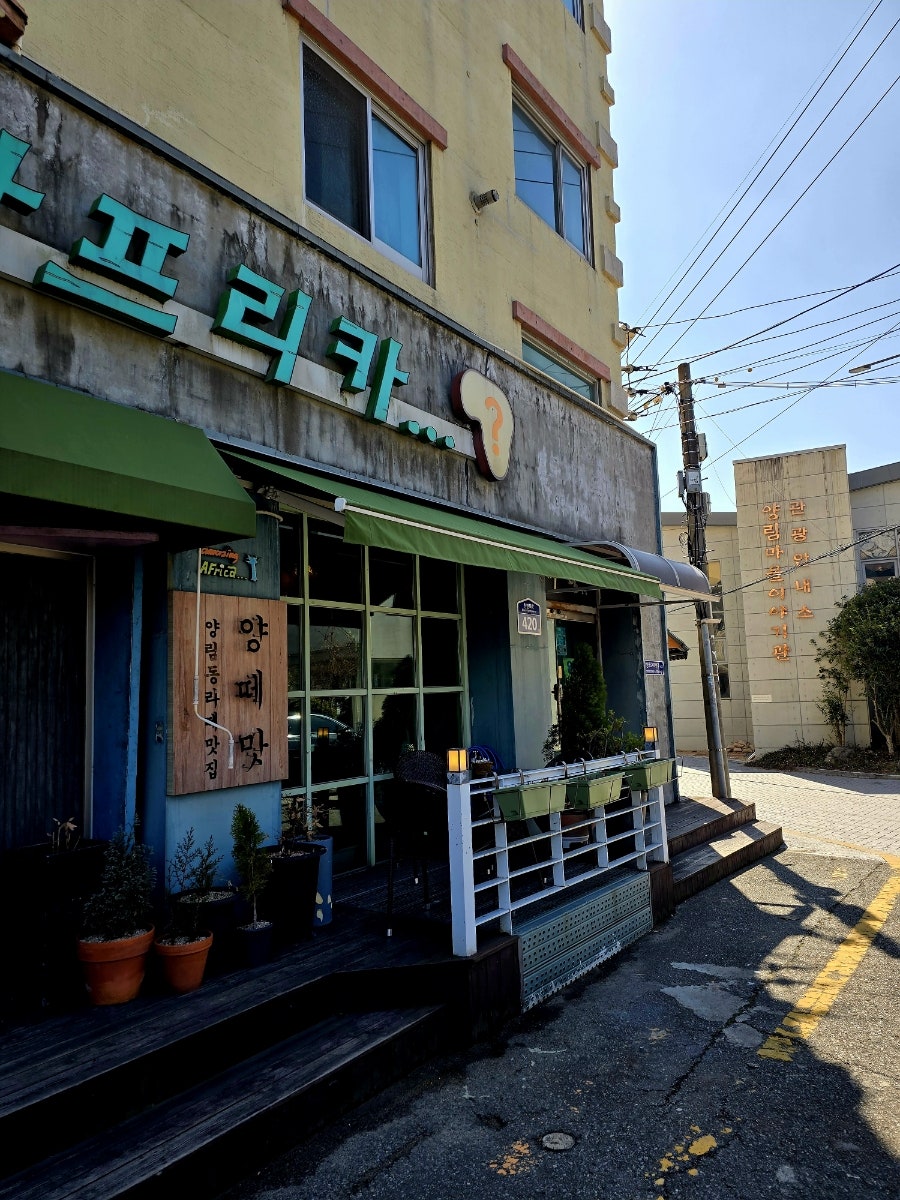 어메이징아프리카 사진 4
