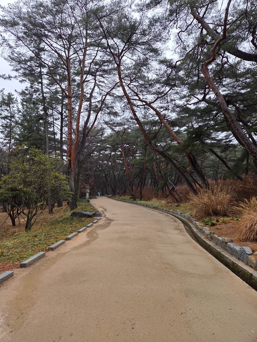 이서방 사진 4