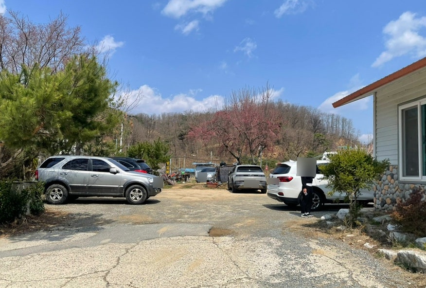악골 사진 4