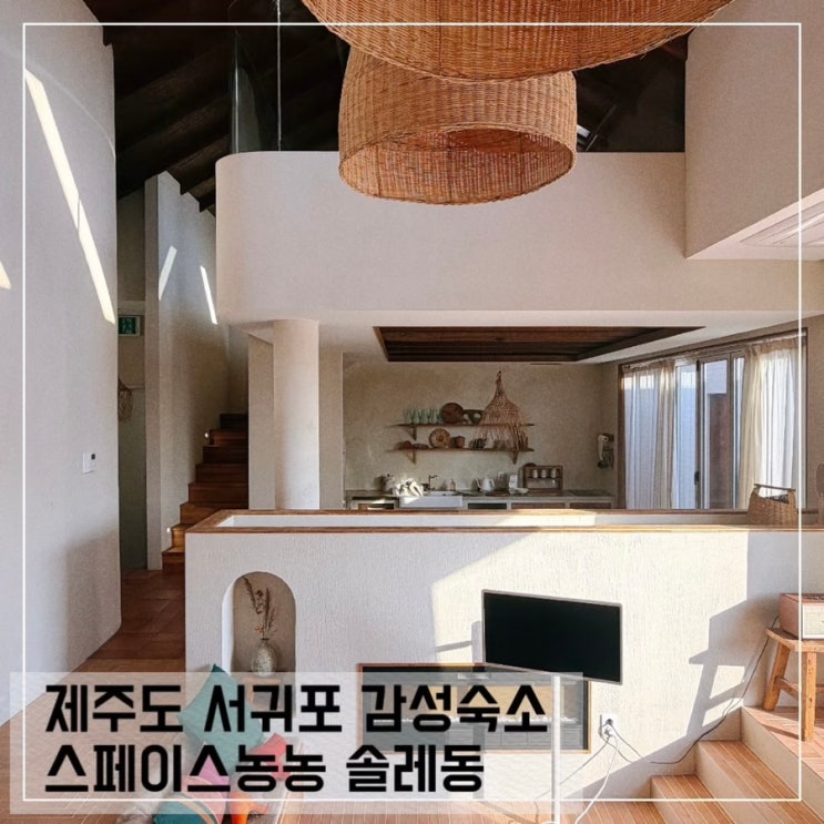  제주도 서귀포 감성 독채 숙소 스페이스 농농 풀빌라 펜션 솔레동 후기