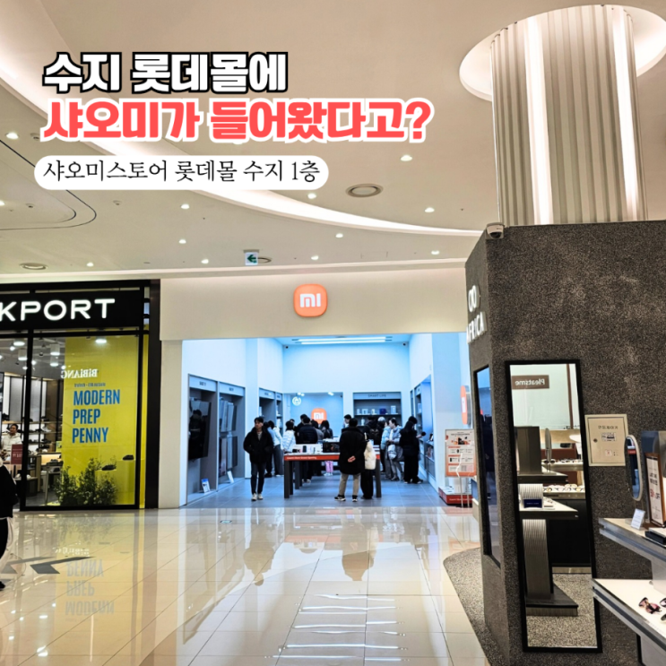  용인 수지 롯데몰 애견동반 핫플! 샤오미 롯데몰 수지점 오픈 방문후기 (라이카 폰카 폼 미쳤다)