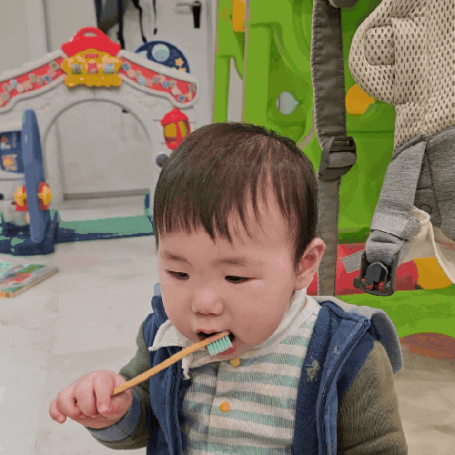  닥터노아 유아대나무칫솔 내돈내산 구매후기 어린이집답례선물 신학기선물