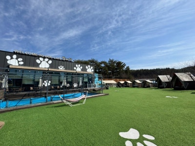 사진 3