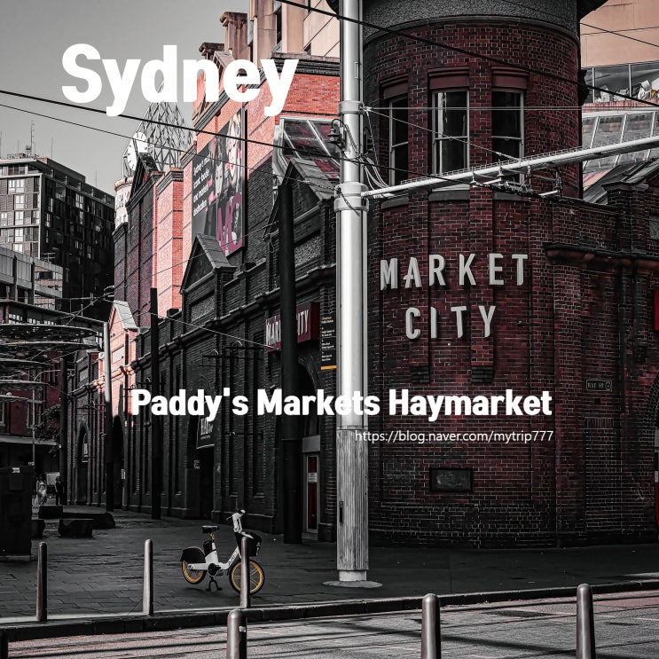  시드니 차이나타운 패디스 마켓 | 쇼핑·먹거리 한 번에 즐기는 Paddy’s Haymarket