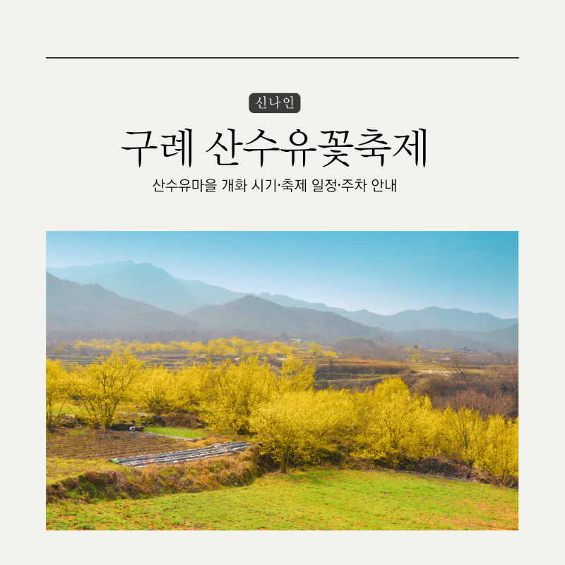 구례 산수유꽃축제 2026 일정 | 구례 산수유마을 개화 시기·주차 안내