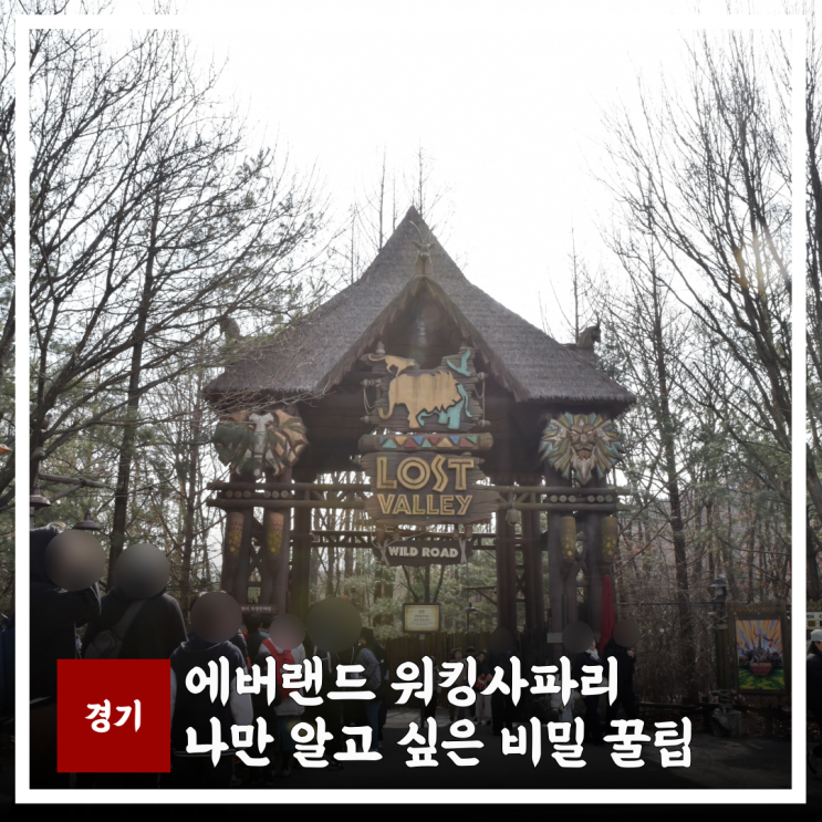  에버랜드 워킹사파리, 셔틀 시간 입장권 예약 후기 꿀팁