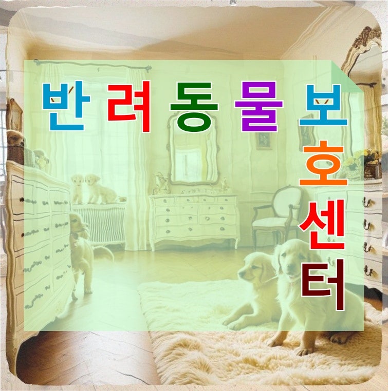 반려생활
