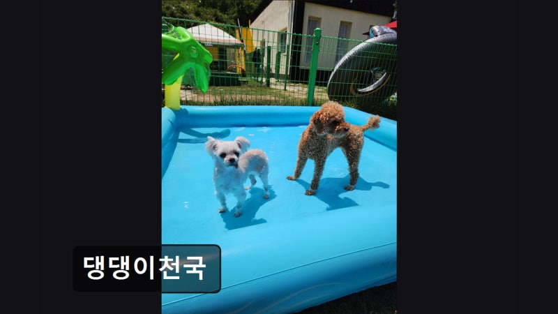 사진 4