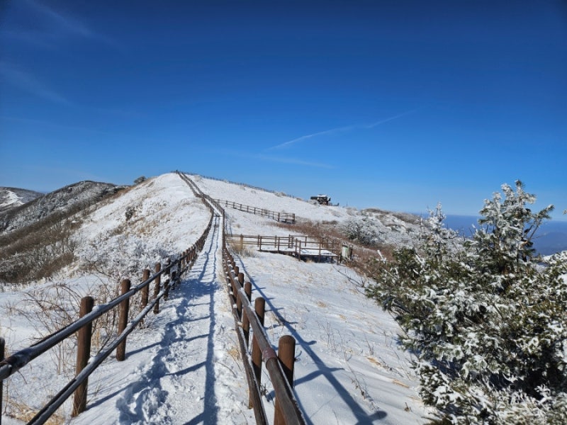 소백산 등산코스 눈꽃산행 죽령~연화봉~비로봉~천동주차장코스