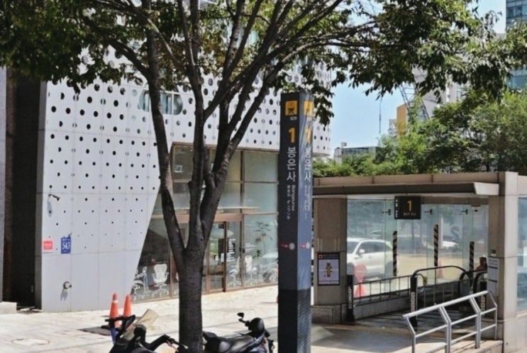  봉은사 홍매화 개화 중 강남 에서 지금 바로 갈 수 있는 봄 꽃 주차 입장 사진 명당 2026 총정리