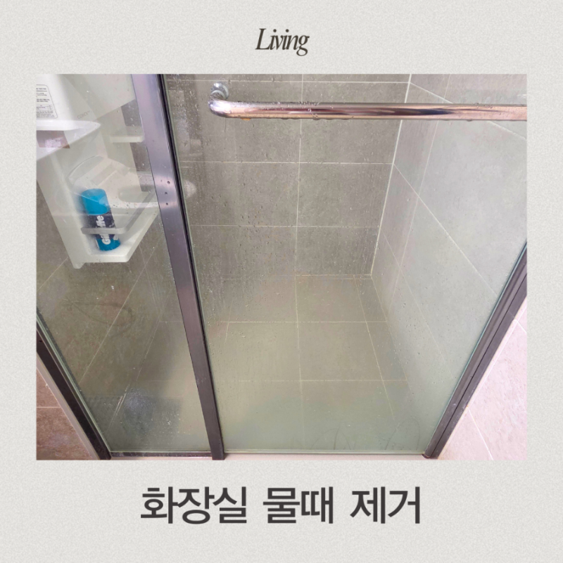 화장실 유리 물때제거 방법 최강희 전참시 욕실청소