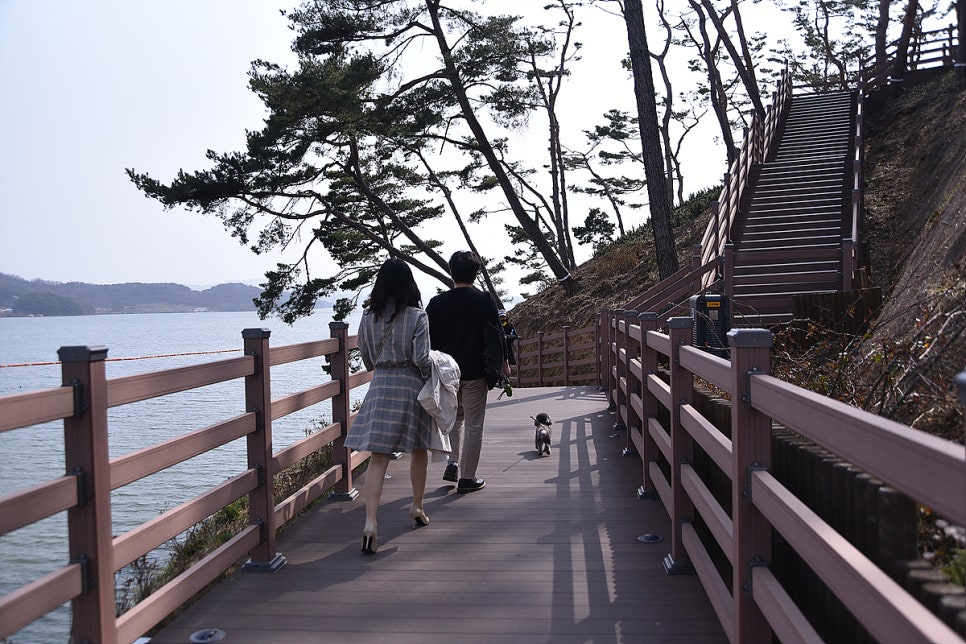 돌고래회관 사진 6