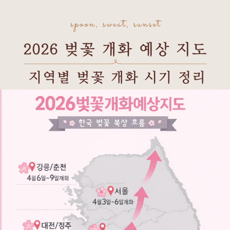  2026 벚꽃 개화 예상 서울 부산 제주 벚꽃 시기 정리