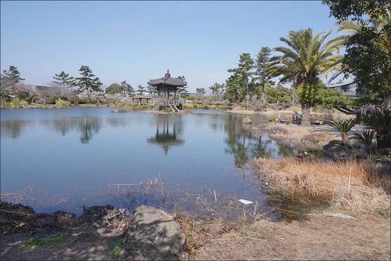 사진 3