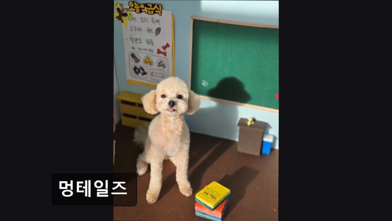 사진 2