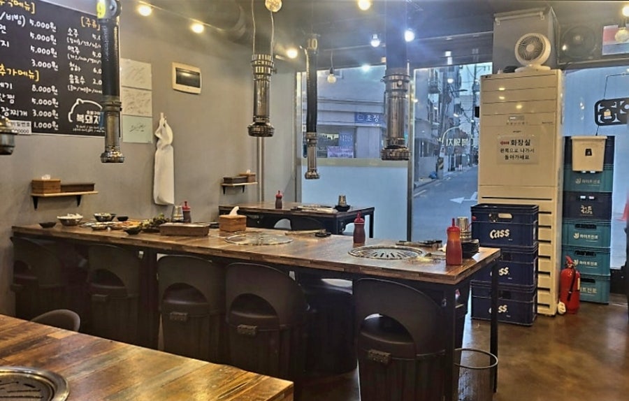 복돼지 사진 3