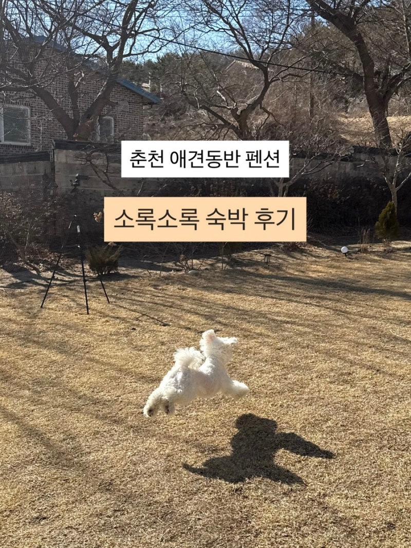사진 4