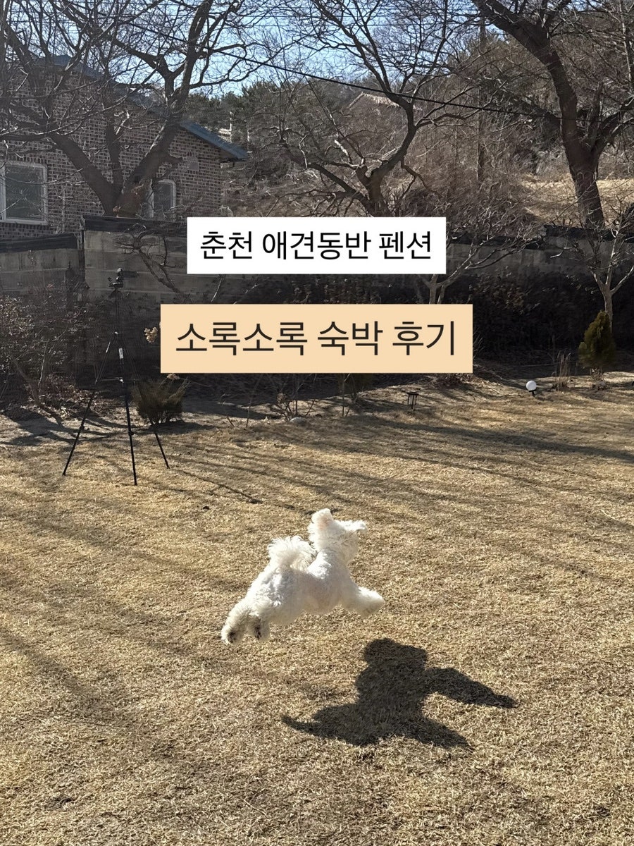 소록소록 사진 1