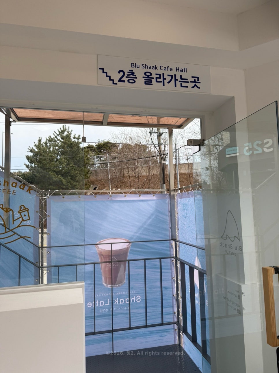 블루샥 강릉대점 사진 3
