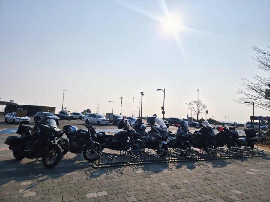 메르시 사진 2